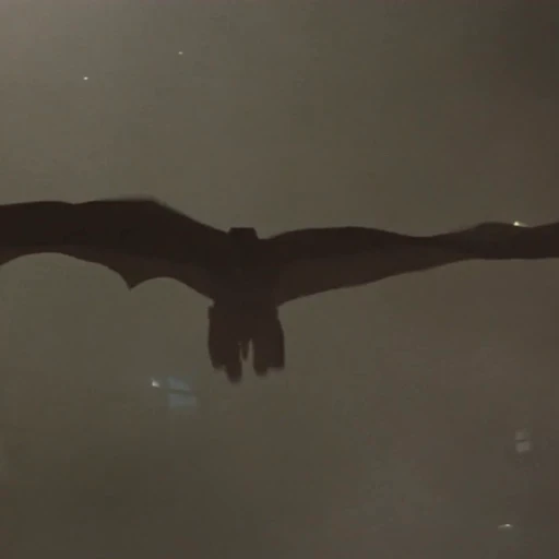 🦇 Стикер «Dark Knight» для Telegram