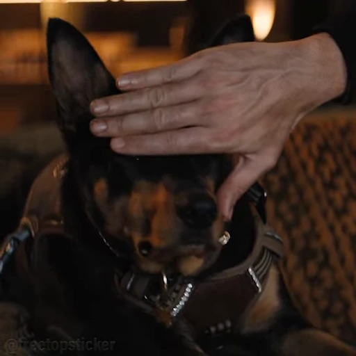 🐕 Стикер «The Fall Guy» для Telegram
