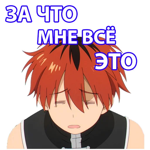 😢 Стикер «Провожающая в последний путь Фрирен» для Telegram