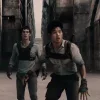 Стикер 21 The Maze Runner
