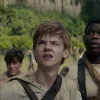 Стикер 43 The Maze Runner
