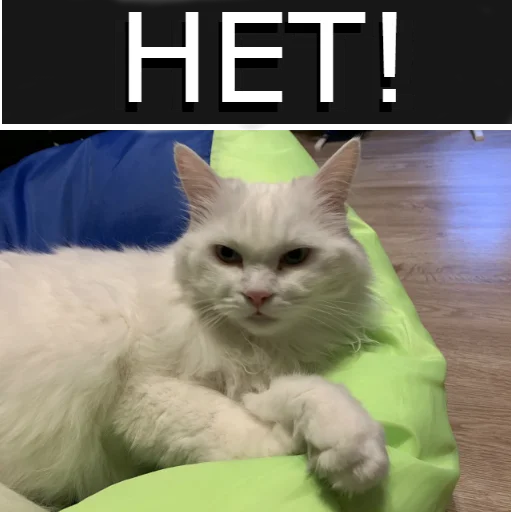 ❌ Стикер «Кот Красавчик» для Telegram