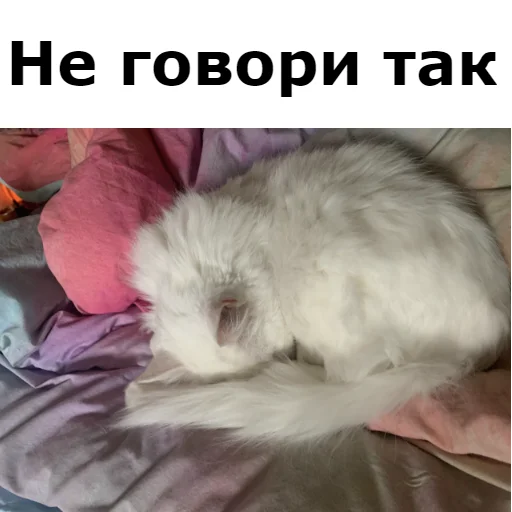 😓 Стикер «Кот Красавчик» для Telegram