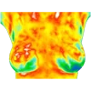 Стикер 29 thermal