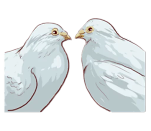 🕊 Стикер «The Signs of Love» для Telegram