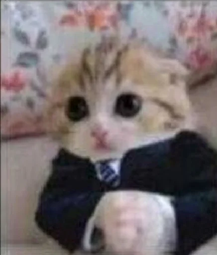 🥸 Стикер «Useful Memes» для Telegram
