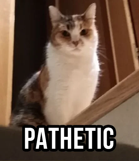 😾 Стикер «Useful Memes» для Telegram