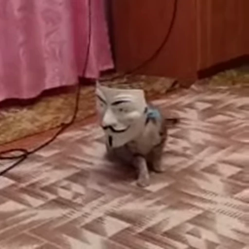 ❤️ Стикер «dies on Cats» для Telegram