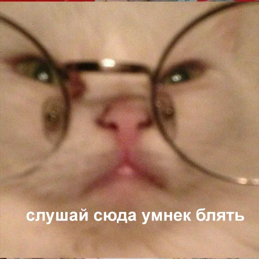 😤 Стикер «Это конец» для Telegram