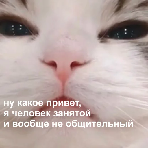 😤 Стикер «Это конец» для Telegram