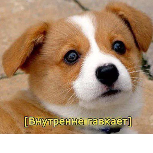 ☹️ Стикер «Это конец» для Telegram