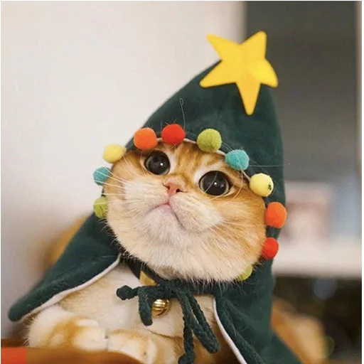 🧙‍♂️ Стикер «Это конец» для Telegram