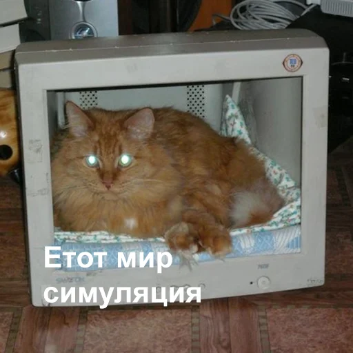 🥸 Стикер «Это конец» для Telegram