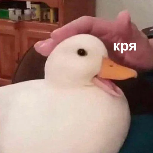 ☺️ Стикер «Это конец» для Telegram