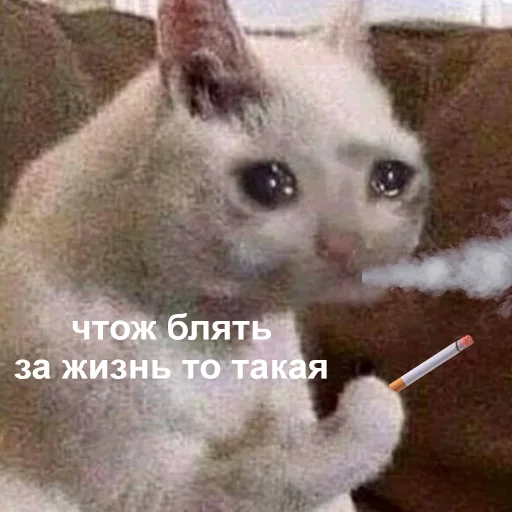 🙁 Стикер «Это конец» для Telegram