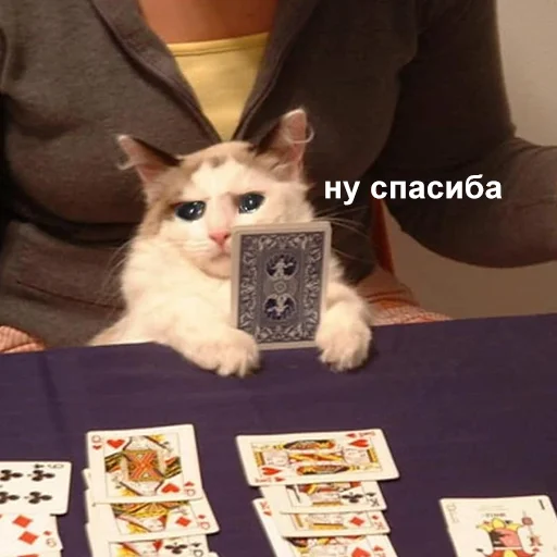 😠 Стикер «Это конец» для Telegram