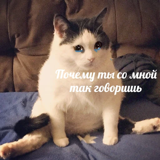 😢 Стикер «Это конец» для Telegram