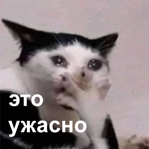 😭 Стикер «Это конец» для Telegram