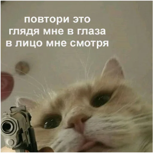 😠 Стикер «Это конец» для Telegram