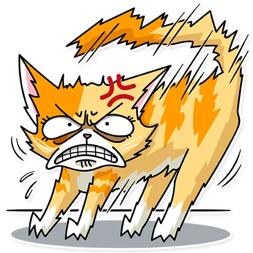 💢 Стикер «Katie Cat» для Telegram