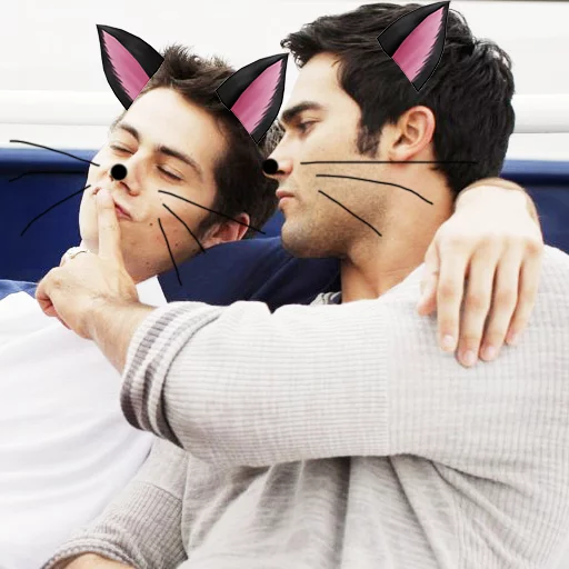 🐯 Стикер «Tyler Hoechlin WTF» для Telegram