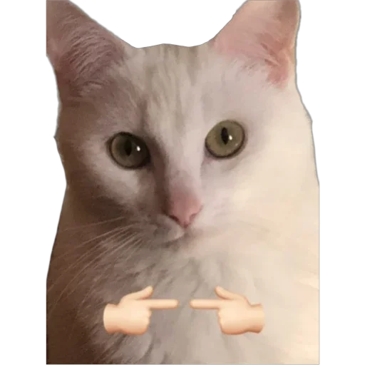 👉 Стикер «Bagduns Thomas» для Telegram