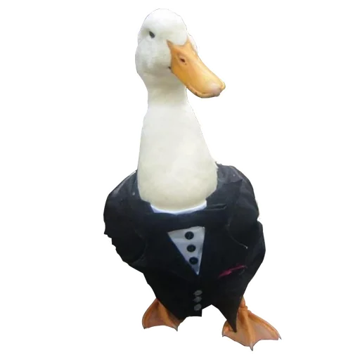 🦆 Стикер «Three hundred ducks» для Telegram