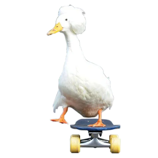 🦆 Стикер «Three hundred ducks» для Telegram