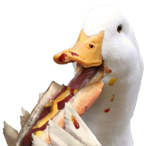 🦆 Стикер «Three hundred ducks» для Telegram