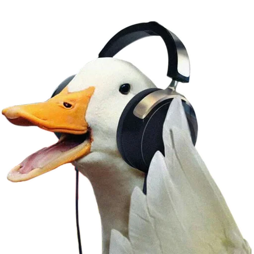 🦆 Стикер «Three hundred ducks» для Telegram