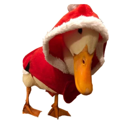 🦆 Стикер «Three hundred ducks» для Telegram