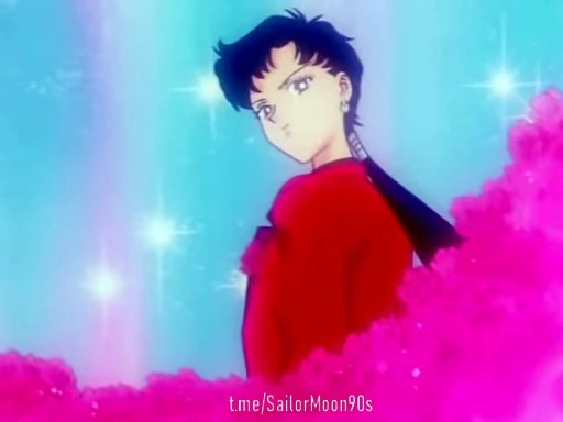 🌺 Стикер «?Sailor Starlight / Three Lights?» для Telegram