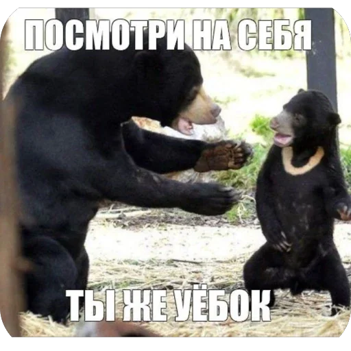 🫥 Стикер «Не нажимай =>» для Telegram