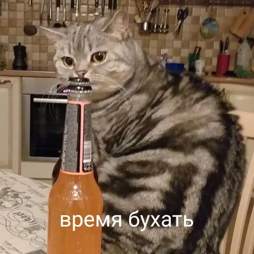 🍻 Стикер «Тифаня» для Telegram