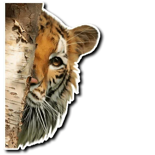 😂 Стикер «Tiger Tiger» для Telegram