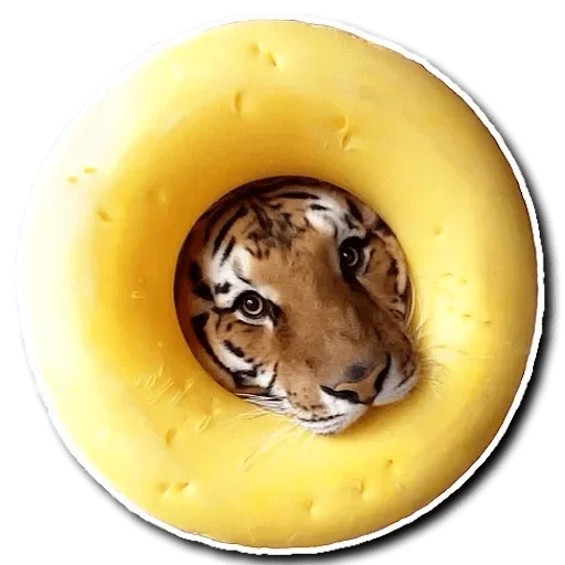 😂 Стикер «Tiger Tiger» для Telegram