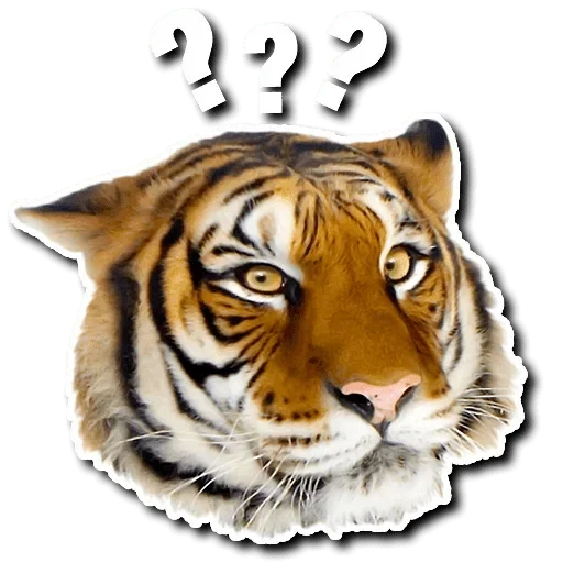 😳 Стикер «Tiger Tiger» для Telegram