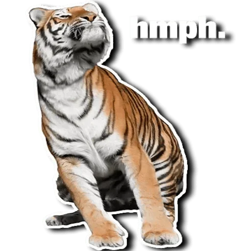 🤨 Стикер «Tiger Tiger» для Telegram