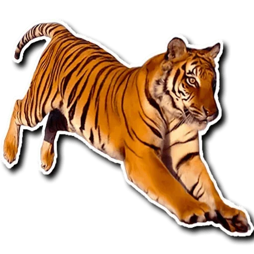 😅 Стикер «Tiger Tiger» для Telegram