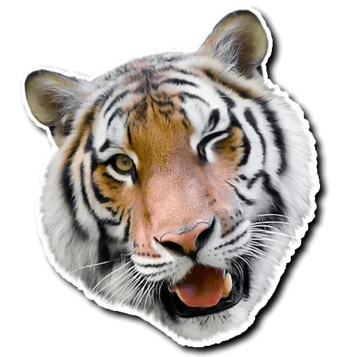 😜 Стикер «Tiger Tiger» для Telegram