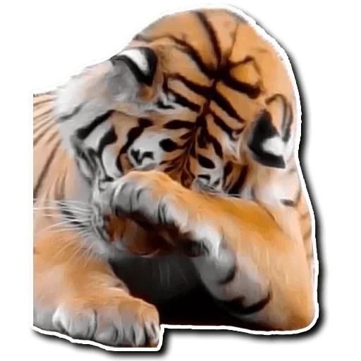 ☺️ Стикер «Tiger Tiger» для Telegram