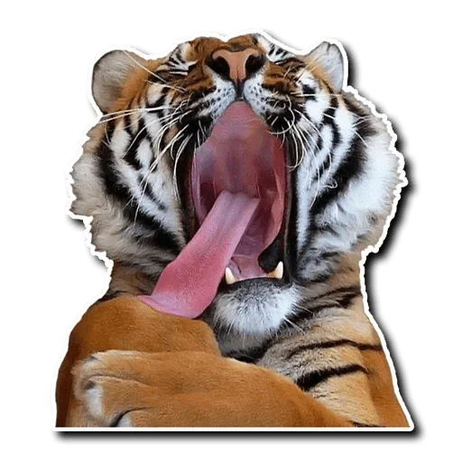 👅 Стикер «Tiger Tiger» для Telegram