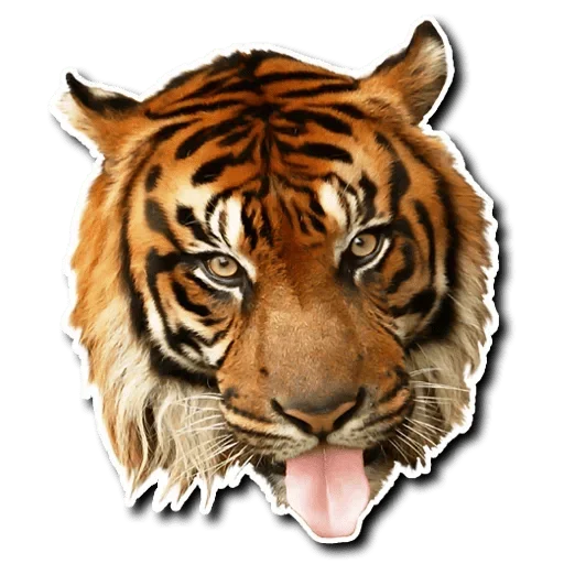 😋 Стикер «Tiger Tiger» для Telegram