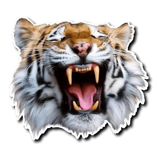 😫 Стикер «Tiger Tiger» для Telegram