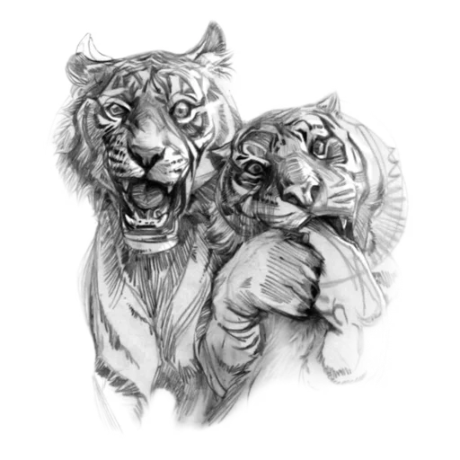 😜 Стикер «Tigers love» для Telegram