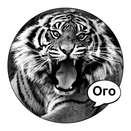 😱 Стикер «Tigers love» для Telegram