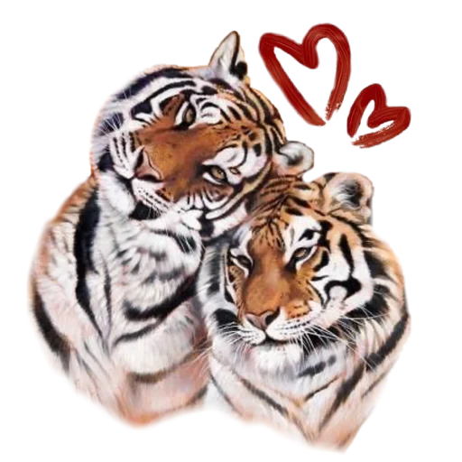 💞 Стикер «Tigers love» для Telegram