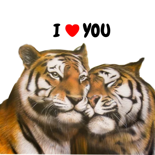 ❤️ Стикер «Tigers love» для Telegram