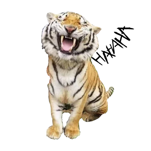 😂 Стикер «Tigers love» для Telegram