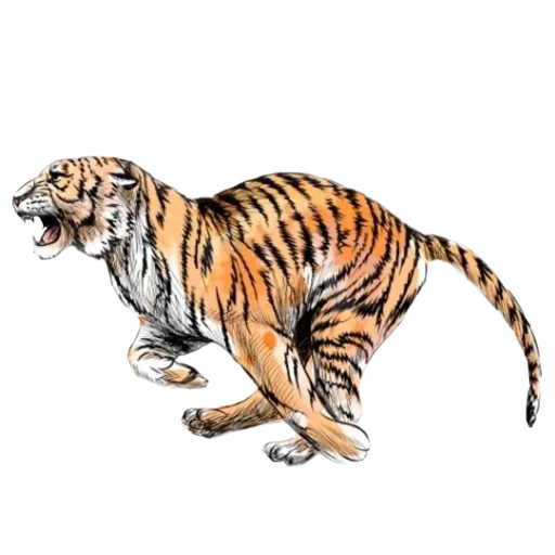 🏃‍♂️ Стикер «Tigers love» для Telegram